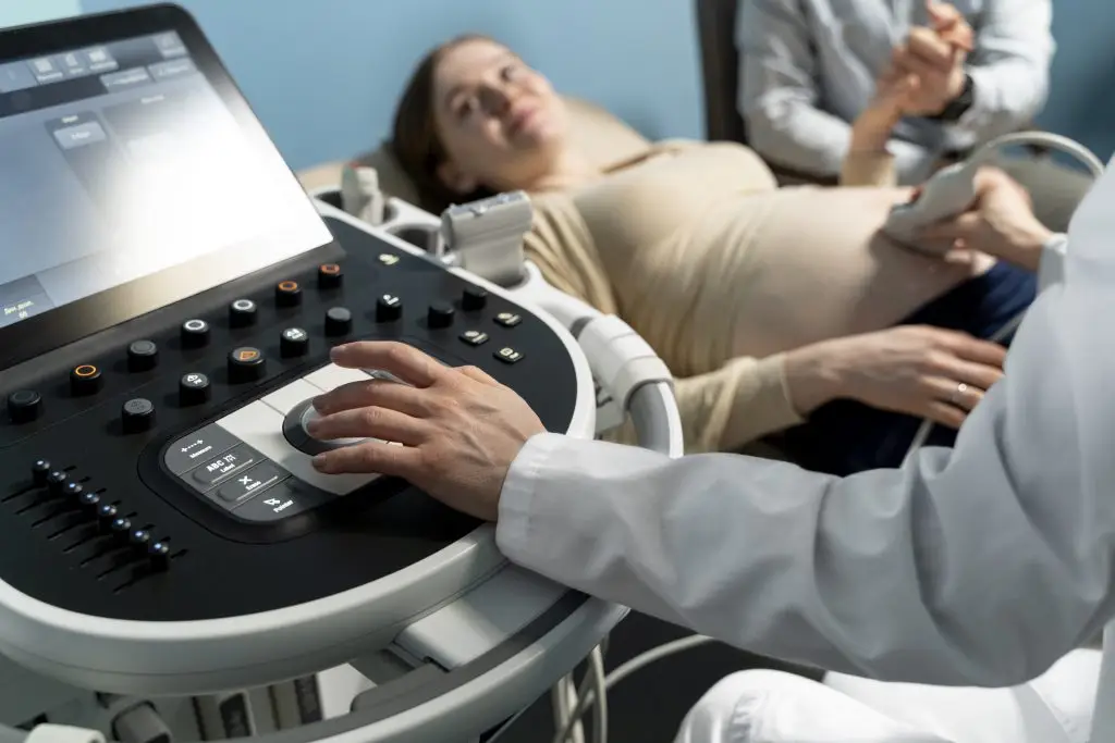gynecologist performing ultrasound consultation 2 scaled